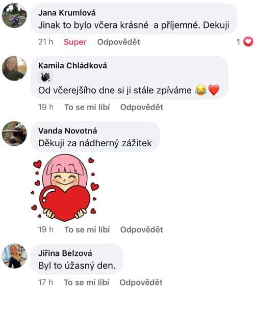 reference jaroslav dušek a jan skryja