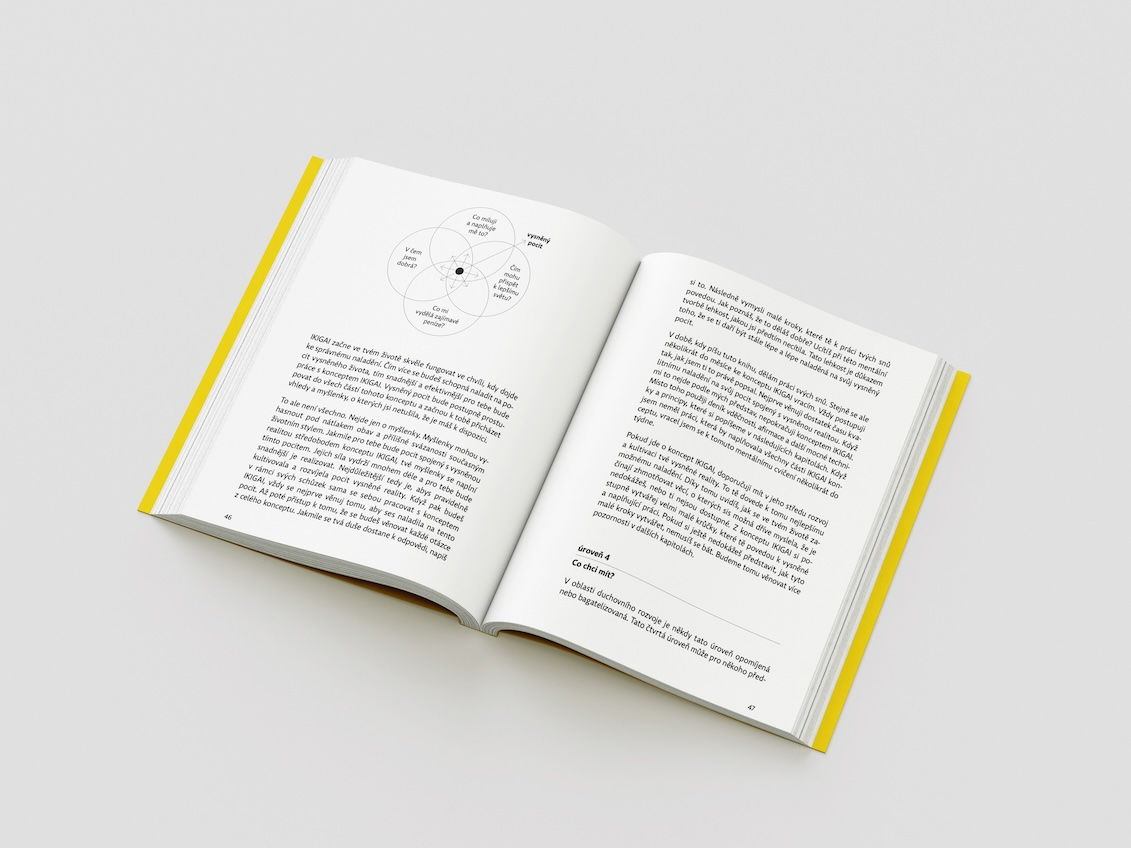 jak dosáhnout vysněného života